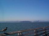 [Berkeley Pier view]
