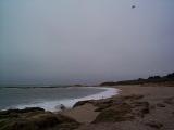 [Photo of Bean Hollow State Beach]
