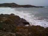 [Photo of Bean Hollow State Beach]