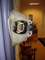 [Photo of hotel polar bear]