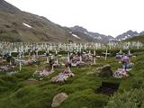 [Photo of cemetery]