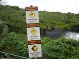 [Photo of Black Sand Beach warning signs]