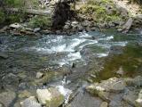 [Photo of the creek that feeds Hilton Falls]