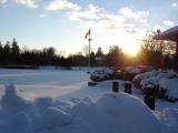 [Photo of Victoria Park Lake in winter]