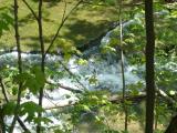 [Photo of Lower Tews Falls]
