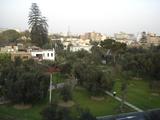 [Photo of Parque El Olivar]