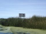 [Photo of Los Uros welcome sign]