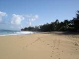 [Photo of Hāʻena Beach]