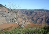 [Photo of Waimea Canyon]