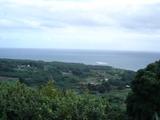[Photo of Wailua Valley State Wayside view]