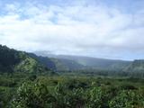 [Photo of Wailua Valley State Wayside view]