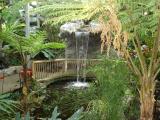 [Garden]