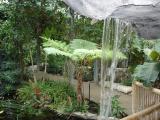 [Garden]