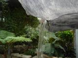 [Garden]