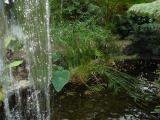 [Garden]