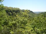 [Photo of Spencer Gorge]
