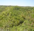 [Photo of Spencer Gorge]