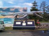 [Nessie photo]