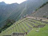 [Photo of terraces]