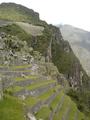 [Photo of terraces]