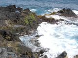 [Photo of tidal pools]