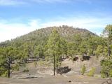 [Photo of Pinar de Chio]