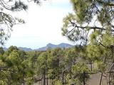 [Photo of Pinar de Chio]