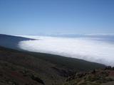 [Photo of forest meeting clouds]