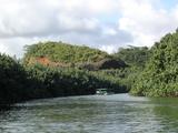 [Photo of Wailua River]