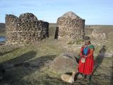 [Photo of chullpas, a vicu�a, and a woman]